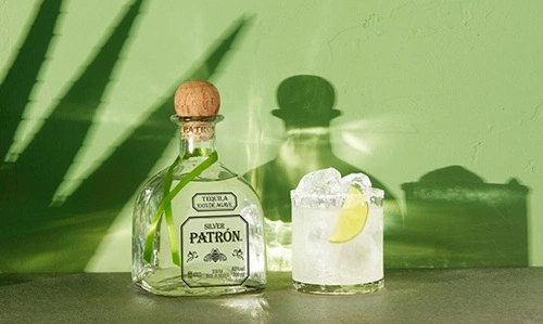 Patrón
